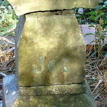 ? Joe -1902