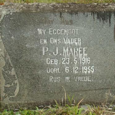 MAREE P.J. 1916-1955