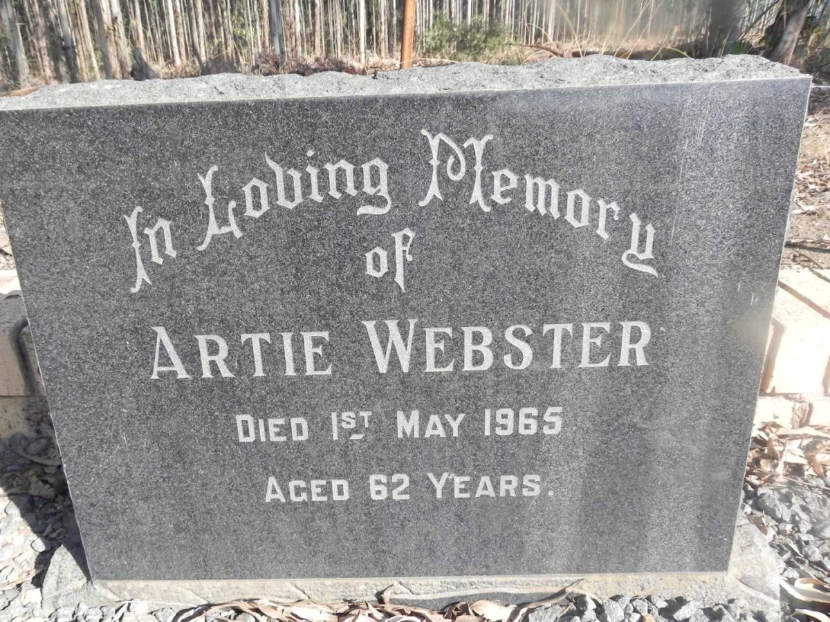 WEBSTER Artie -1965