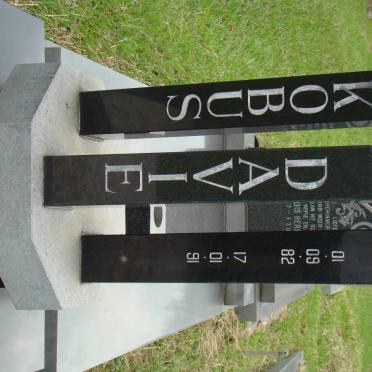 DAVIES Kobus 1982-1991
