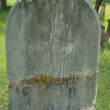 WELCH Alfred -1889