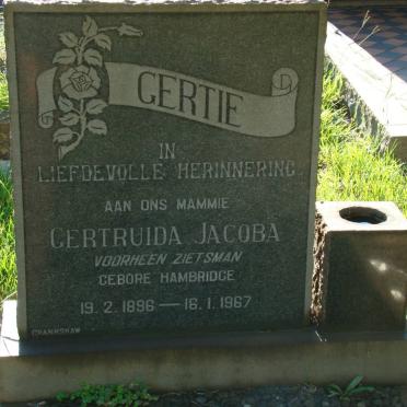 ? Gertruida Jacoba formerly ZIETSMAN nee HAMBRIDGE 1896-1967