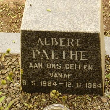 PALTHE Albert 1984-1984
