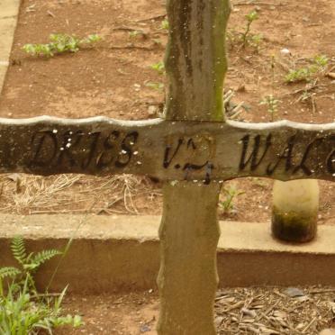 WALT Dries, van der