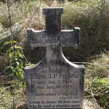 POTGIETER Hendrik J.P. 1919-1919