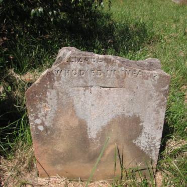? Elizabeth