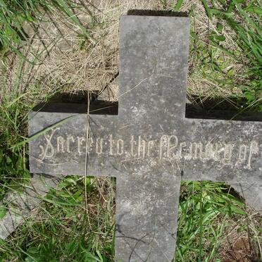 ALLISON James -1875 &amp; Mary Rae -1897