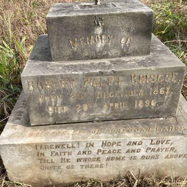 BRISCOE Robert Ralph 1867-1896