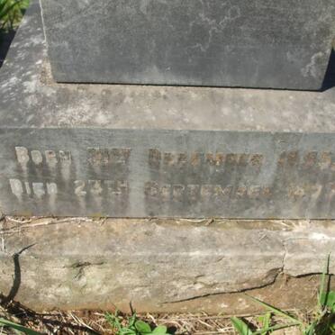 BUTTERFIELD William Thomas 1855-1893