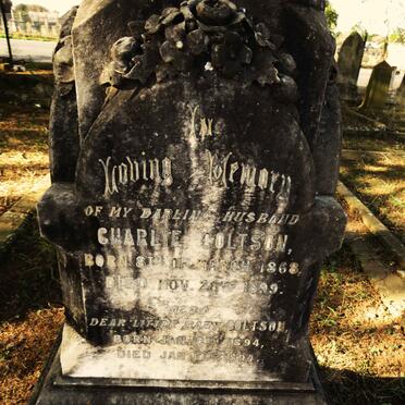 COLTSON Charlie 1868-1899 :: COLTSON 1894-1894