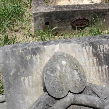 CONEY Joseph -1914 :: CONEY John W. -1907