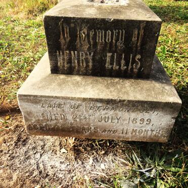 ELLIS Henry -1899