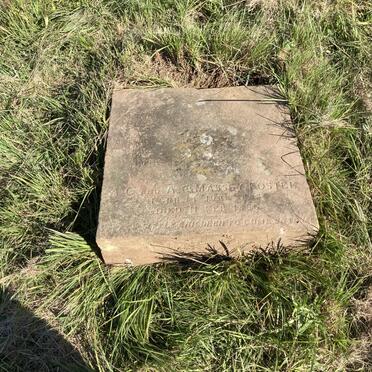 FOSTER A.C. 1885-1886