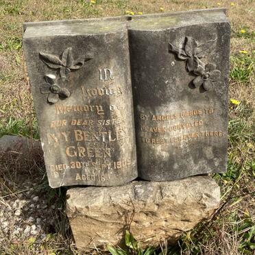 GREEN Ivy Bentley -1905