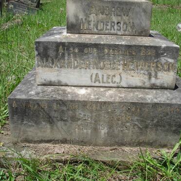 HENDERSON Andrew -1917 :: HENDERSON Alexander Noble -1918