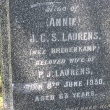 LAURENS FAMILY