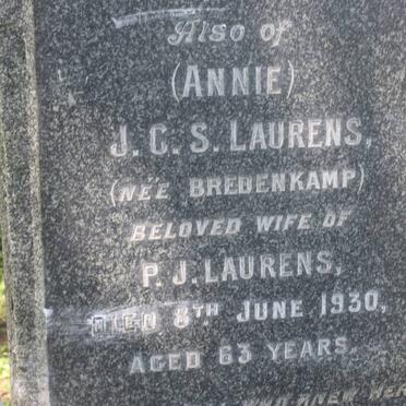 LAURENS FAMILY