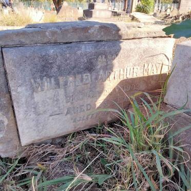 1MAY Wilfred Arthur -1903