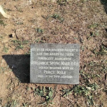 MALE Constance Spong -1953