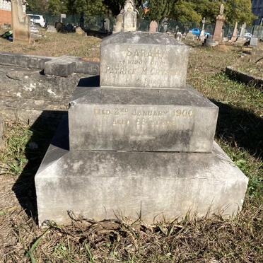 MCCRYSTAL Sarah -1900