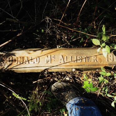 MCALLISTER Donald -1917