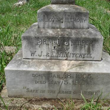 MITCHELL Walter James 1875-1932 :: MITCHELL Harry James 1905-1910