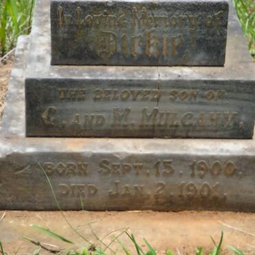 MULCAHY Dirkie 1900-1901