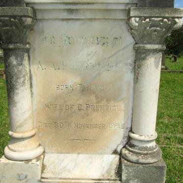 PRENTICE A.A.F. nee TAINTON -1946