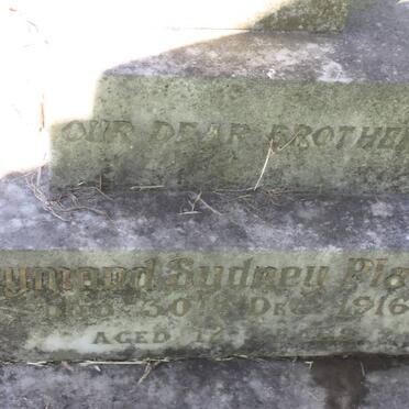 PLATYES Raymond Sydney -1916