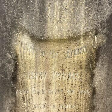 SPIKINGS Henry -1895