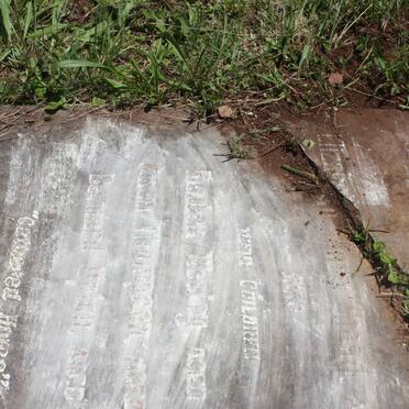 STEAD Reuben Wesley :: STEAD ? Thompson :: STEAD Bernard Upton