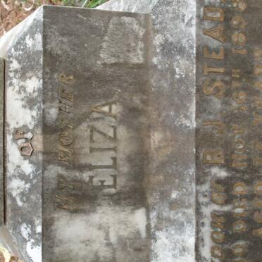 STEAD Eliza -1898