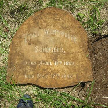 SCHOFIELD Ethel Wentworth 1893-1894