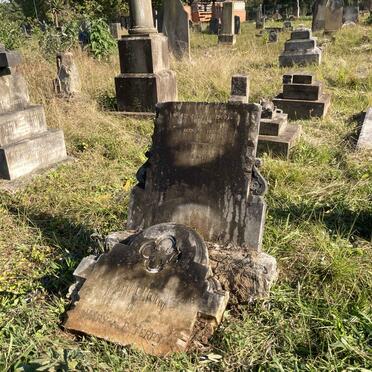 TERRY Mary A.P. -1900