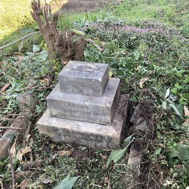 TERRY Agnes 1862-1939