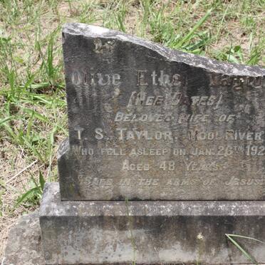 TAYLOR Olive Ethel nee OATES -1924
