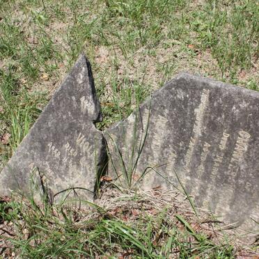 WHEELER Charles -1876 :: WHEELER Alfred James -1888 :: WHEELER Violet ? 