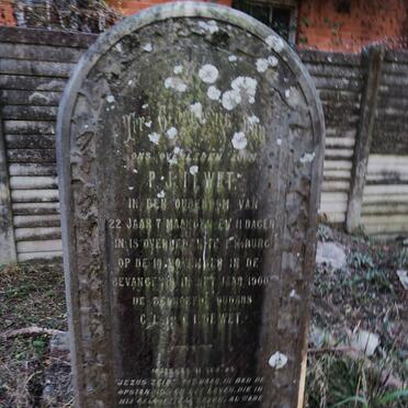 WET Pieter Jacobus, de -1900 :: DE WET Daniel Rudolph -1902 _1