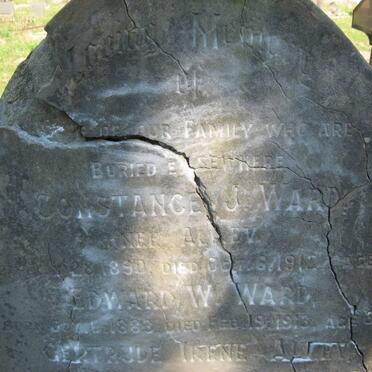 WARD :: ALLEV :: AUGUSTUS