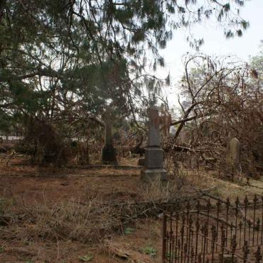 Tombstones buried under the branches