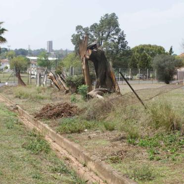 Overview on a broken fence