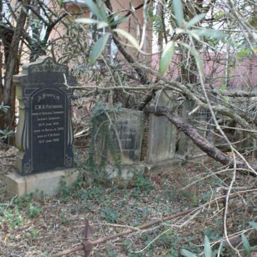 Tombstones buried under the branches