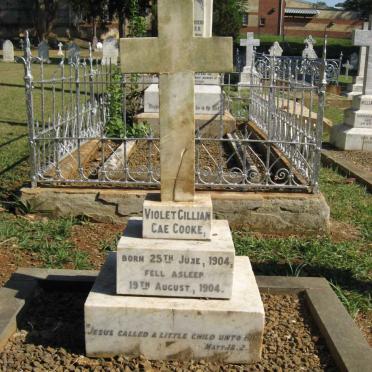 COOKE Violet Cillian Cae -1904-1904