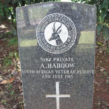 HADDOW A. -1915