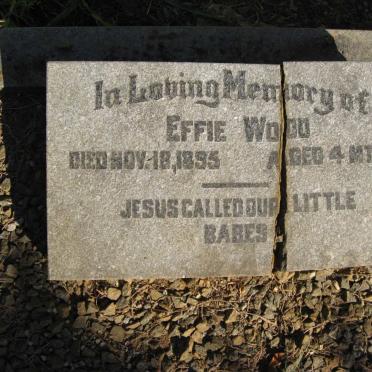 WOOD Effie -1895
