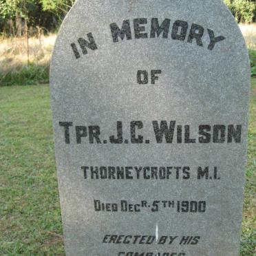WILSON J.C. 1900