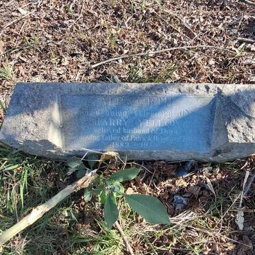 ALDWORTH Harry Yellop 1882-1955