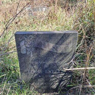 ALLSOPP Loris Evelyn 1904-1998