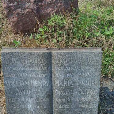 AYLIFFE William Henry -1945 & Maria Jacoba -1976
