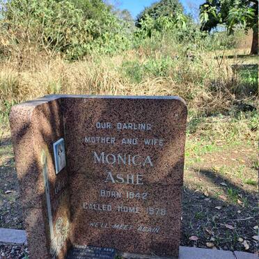 ASHE Monica 1942-1978